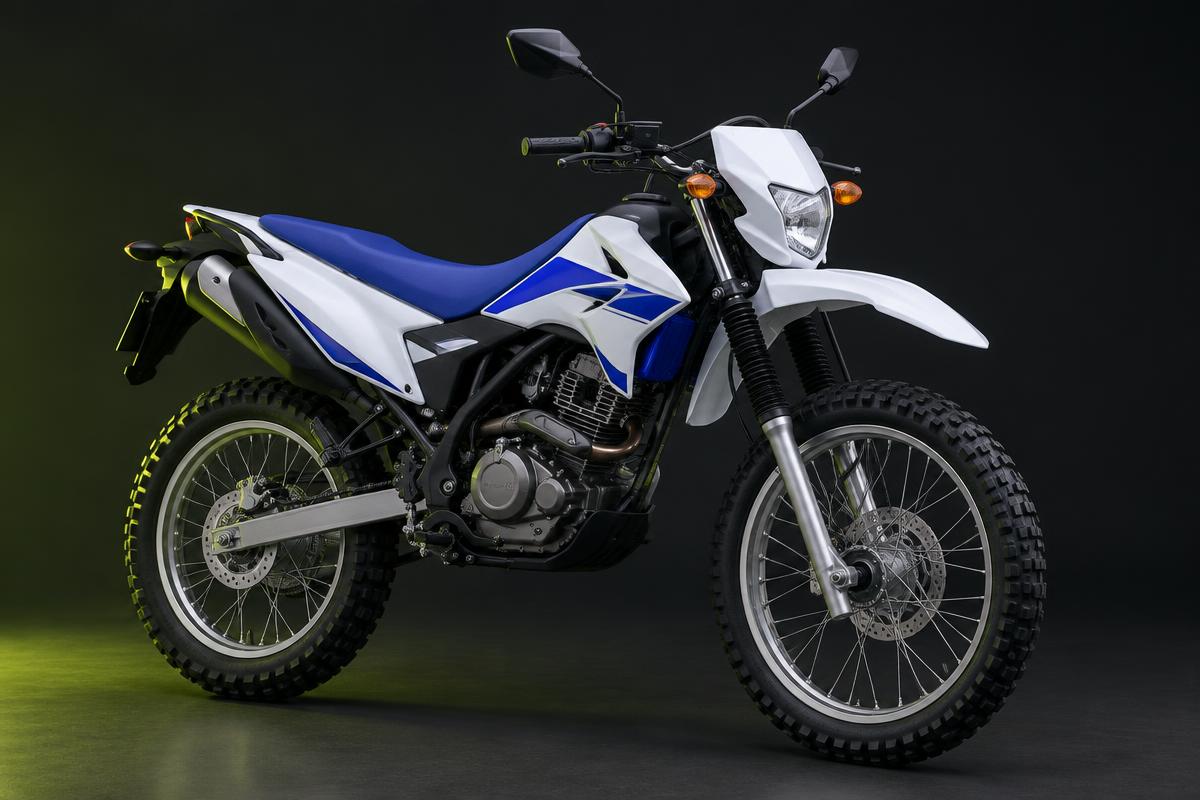 Honda NXR 160 Bros